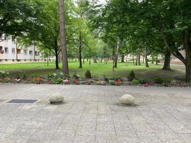 Expoview - Across Fair Entrance, 80sqm, Citycenter 12min Apartment *